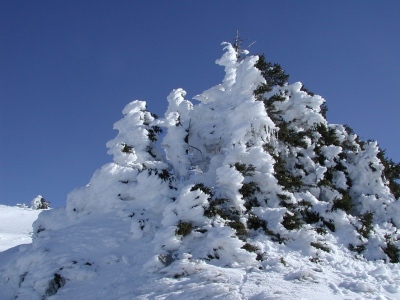 Lelex - Monts Jura