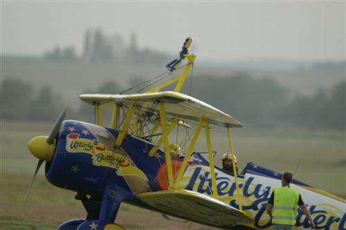 Utterly Butterfly