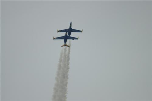 Fougas Magister de la Patrouille Tranchant