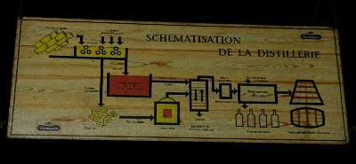 Le Moule - Distillerie Deshayes 